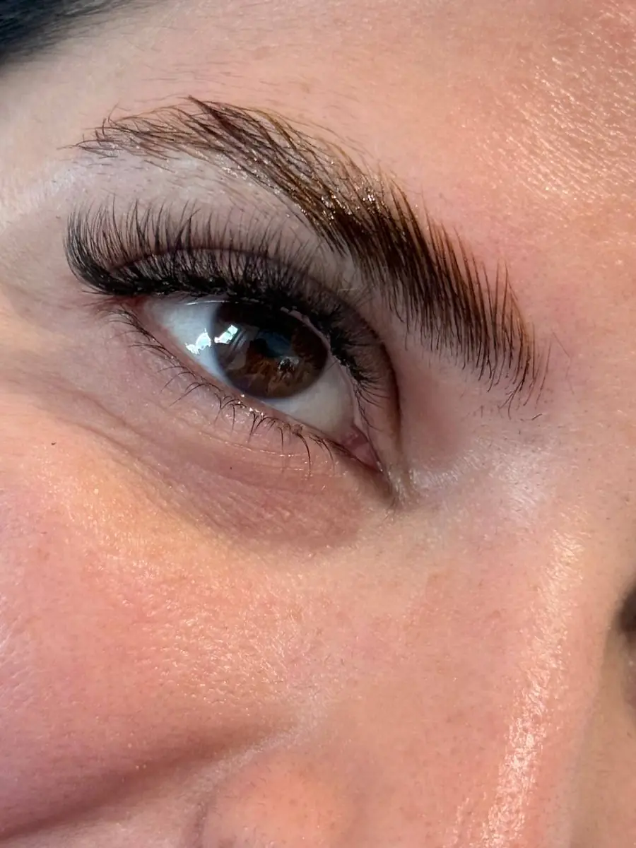 Lashes & brows 1