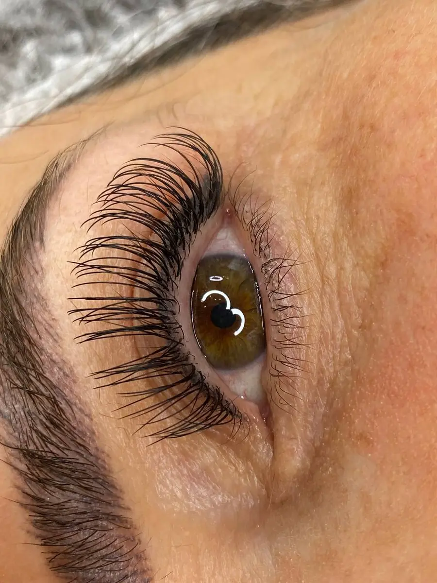 Lashes & brows 2